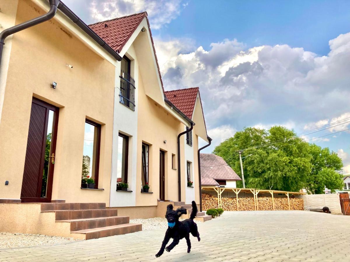 Vila Lesana Nová Lesná エクステリア 写真