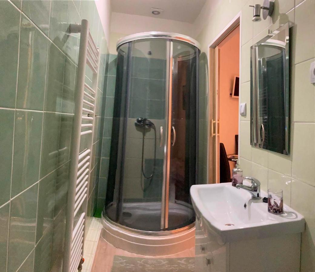 Vila Lesana Nová Lesná エクステリア 写真