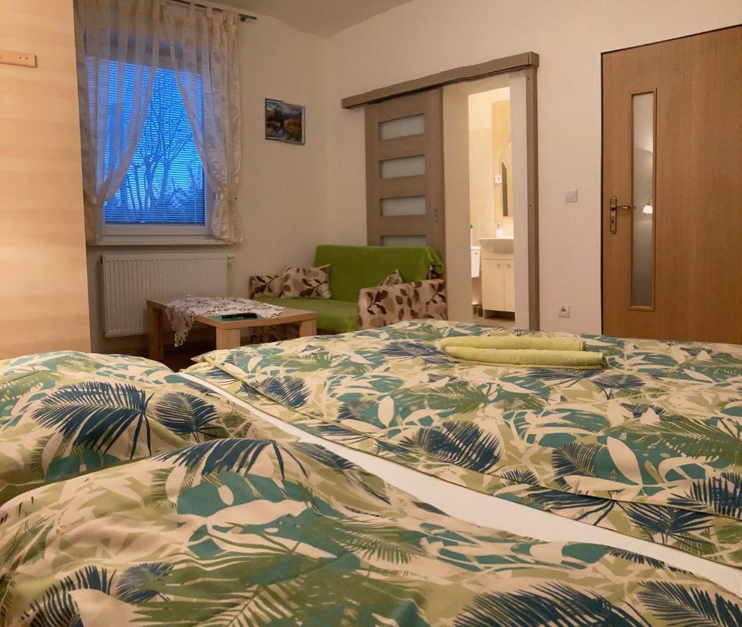 Vila Lesana Nová Lesná エクステリア 写真