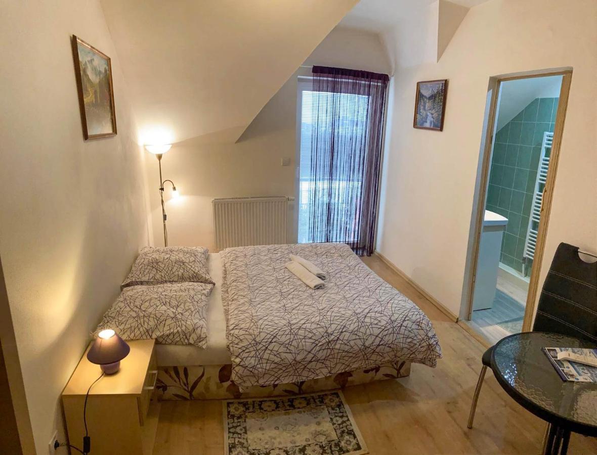 Vila Lesana Nová Lesná エクステリア 写真