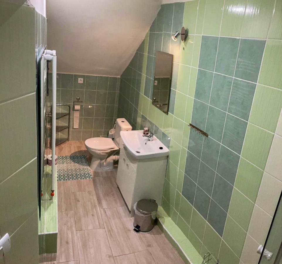 Vila Lesana Nová Lesná エクステリア 写真