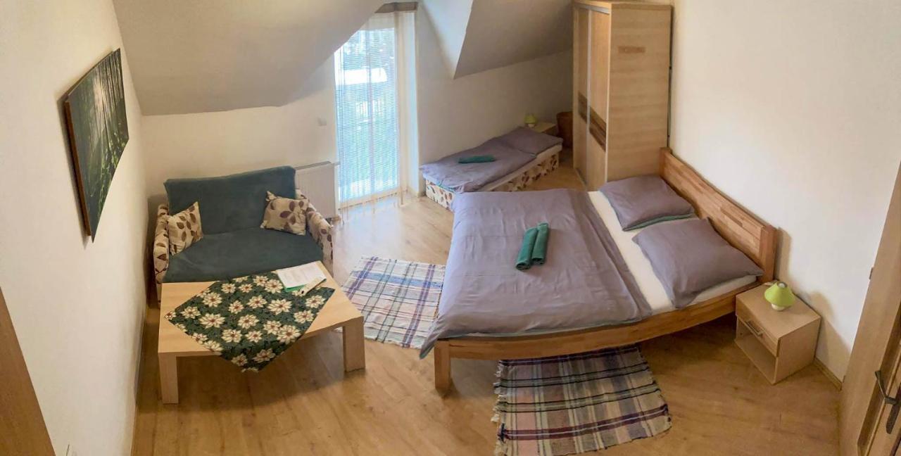 Vila Lesana Nová Lesná エクステリア 写真
